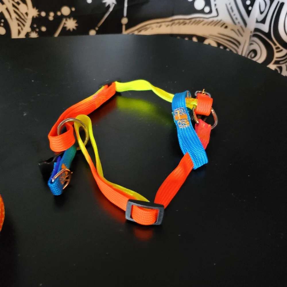 Small Pet Harness Bundle
